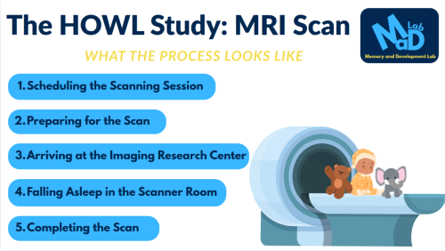 HOWL MRI1